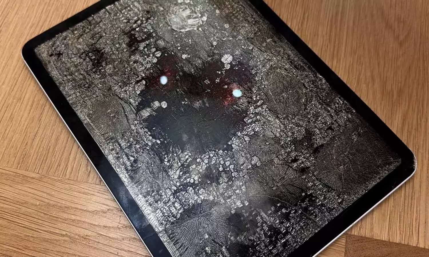 ஆப்பிள் ஐ-பேடை அடுப்பில் வைத்த பெண்