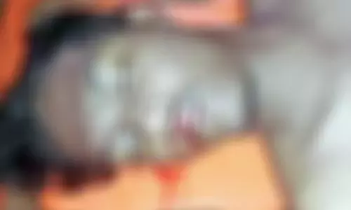 வருசநாடு அருகே யானைகஜம் பகுதியில் குளிக்க சென்ற கல்லூரி மாணவர் பலி