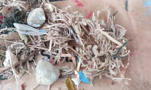 வக்கீல் வீடு மீது நாட்டு வெடிகுண்டு வீச்சு