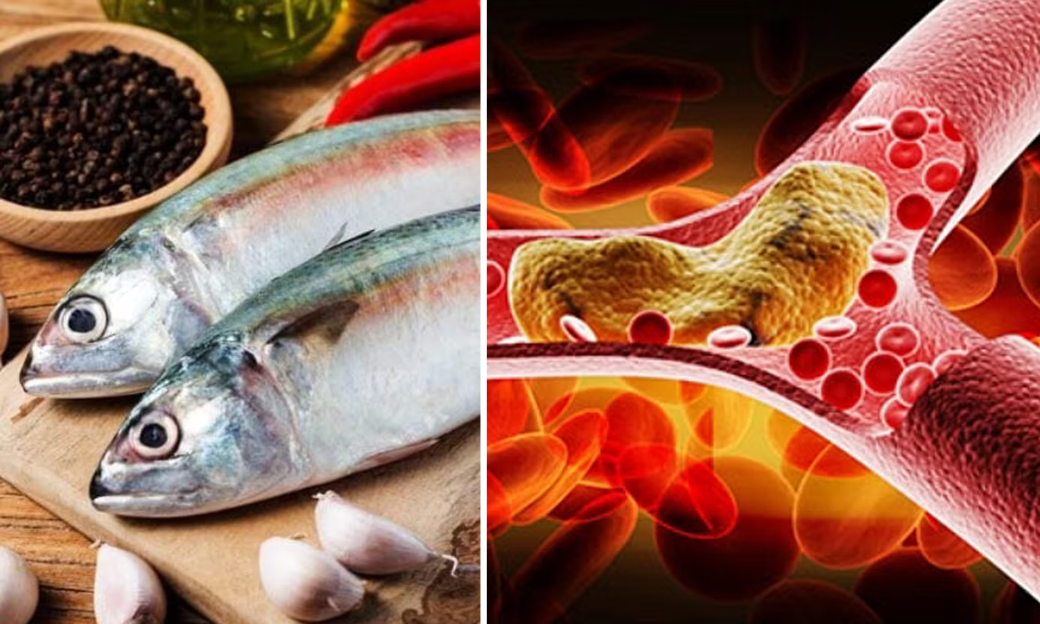 மீன் சாப்பிட்டால் கொலஸ்ட்ரால் அளவு குறையுமா...?