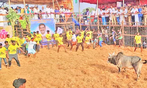 ஜல்லிக்கட்டு - சீறிப்பாய்ந்த காளைகளுடன் மல்லுக்கட்டிய வீரர்கள்