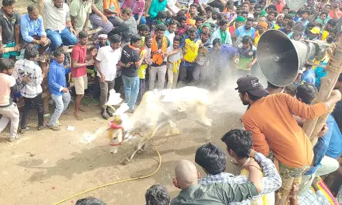 அத்திகானூரில் எருது விடும் திருவிழா