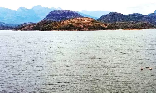 வேகமாக குறையும் உடுமலை அமராவதி அணை நீர்மட்டம்