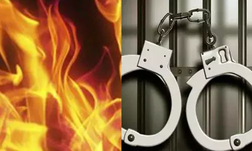 காரிமங்கலம் அருகே தென்னந்தோப்புக்கு தீ வைத்த வாலிபர் கைது