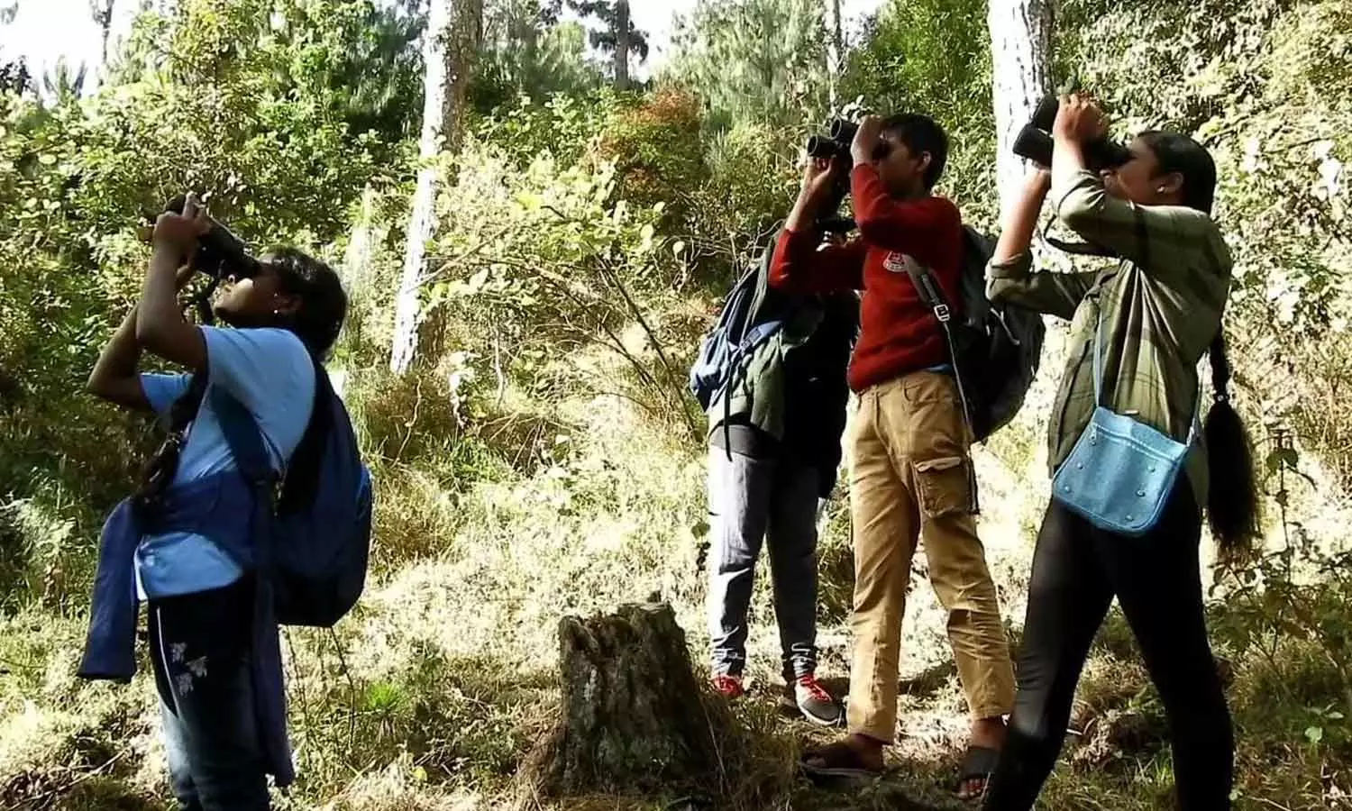 பறவைகள் கணக்கெடுப்பு: மாம்பழச்சிட்டு, கருந்தலை, மாங்குயிலை கண்டுபிடிப்பு பறவைகள் கணக்கெடுப்பு: மாம்பழச்சிட்டு, கருந்தலை, மாங்குயிலை கண்டுபிடிப்பு