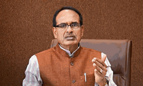 29 தொகுதிகளிலும் பா.ஜ.க. வெற்றி பெறும்: முன்னாள் முதல் மந்திரி சவுகான் உறுதி