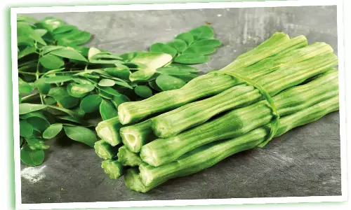 கோடை காலமும்... முருங்கைக்காயும்..!