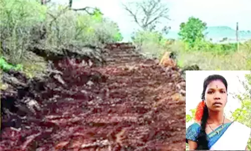 வீடுகட்டும் கனவை தள்ளிப்போட்டு மலை கிராமத்துக்கு சாலை வசதி ஏற்படுத்திய இளம்பெண்