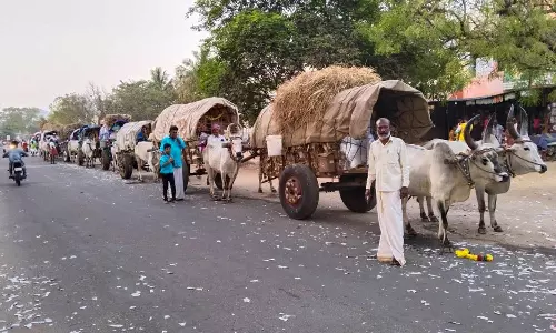 மாட்டு வண்டிகளில் குலதெய்வ கோவிலுக்கு கிராம மக்கள் பயணம்