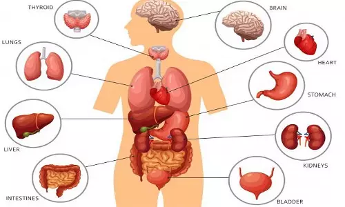 நம் உடல் உறுப்புகளின் அருமையை அறிவோமா...?
