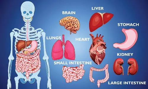நம் உடல் உறுப்புகளின் அருமையை அறிவோமா?...
