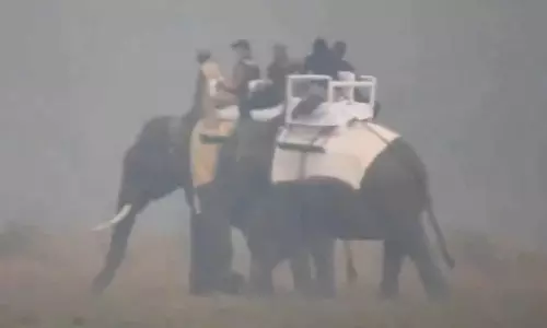 அசாமில் யானை சவாரி செய்த பிரதமர் மோடி