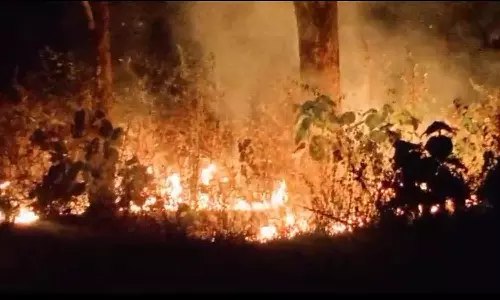 வால்பாறை அருகே வனத்தில் திடீர் காட்டுத்தீ