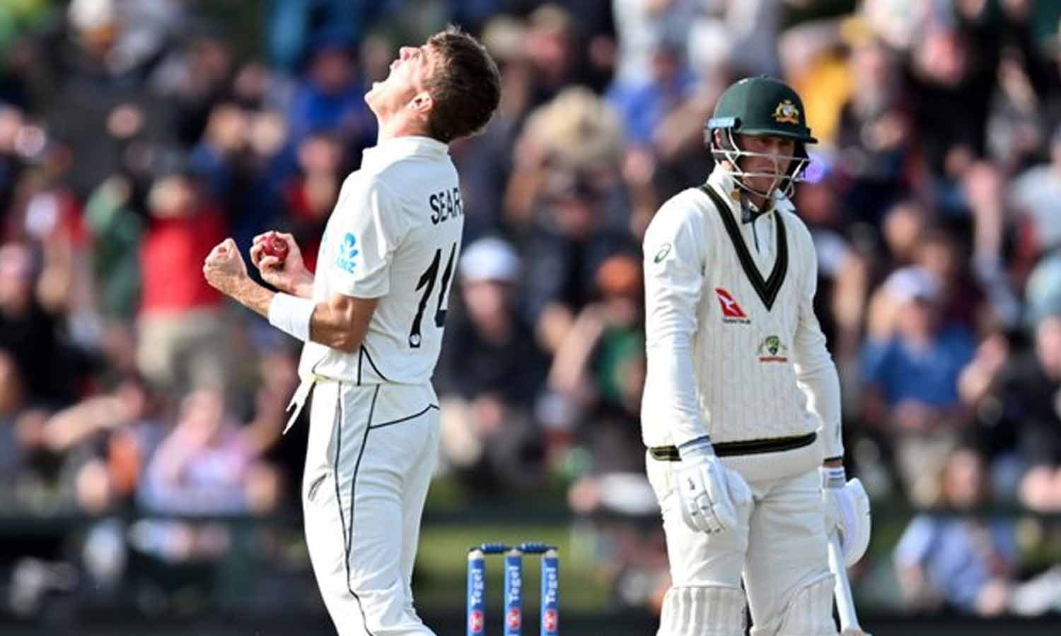 நியூசிலாந்துக்கு எதிரான டெஸ்ட்: 3-ம் நாள் முடிவில் ஆஸ்திரேலியா 4 விக்கெட்டுகளை இழந்து திணறல்