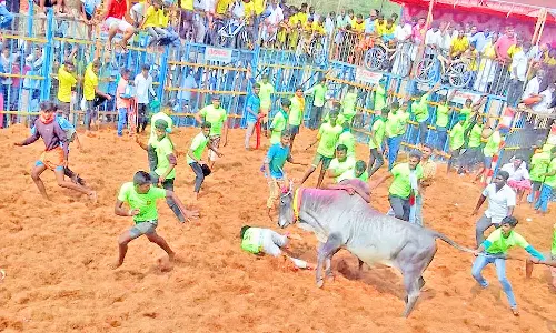 திருச்சி அளுந்தூரில் 700 காளைகள், 350 வீரர்கள் பங்கேற்ற ஜல்லிக்கட்டு- 5 வீரர்கள் காயம்