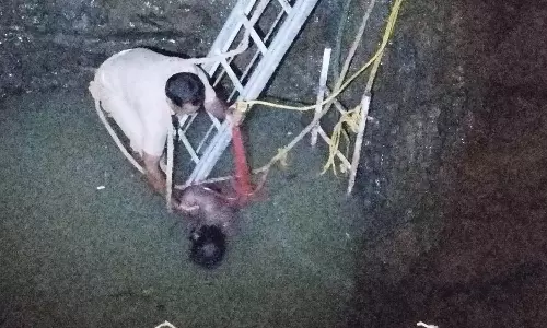 விஷவாயு தாக்கி தொழிலாளி-வாலிபர் பலி