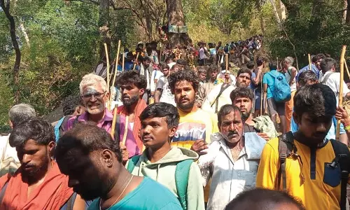 வெள்ளிங்கிரி மலையேறி 50 ஆயிரம் பேர் தரிசனம்