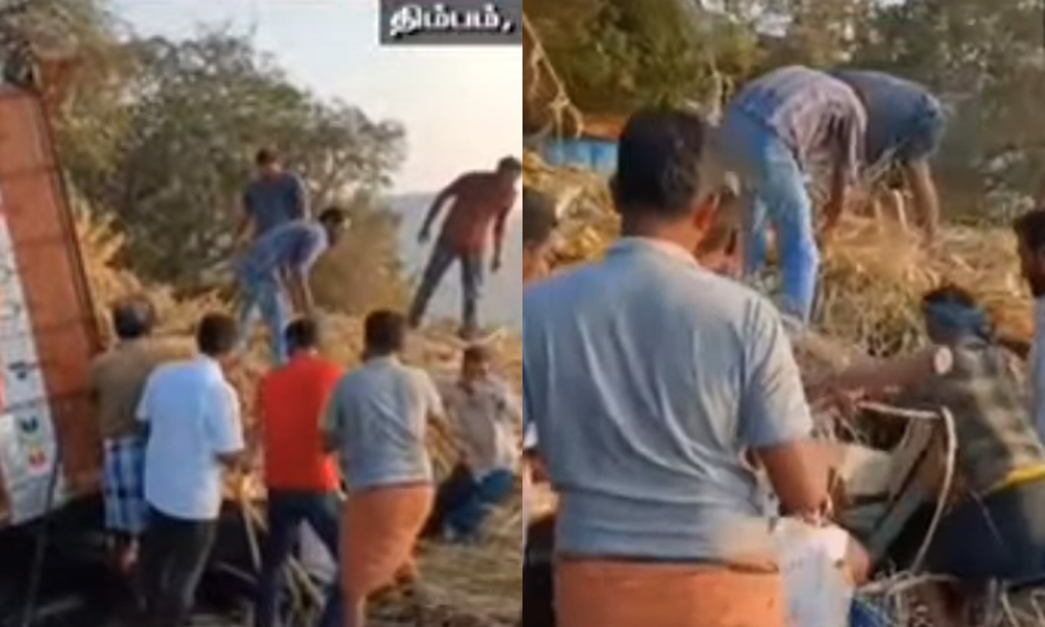 கார் மீது லாரி கவிழ்ந்து விபத்து: 3 பேர் உயிரிழப்பு