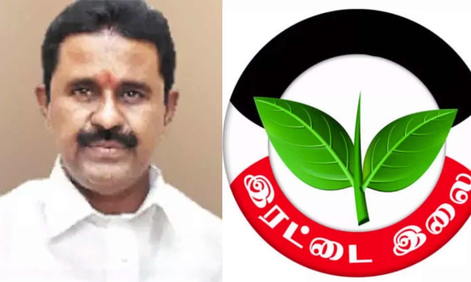 இரட்டை இலை சின்னத்தில் எந்த பிரச்சினையும் இல்லை- ஆர்.காமராஜ் | Tamil ...