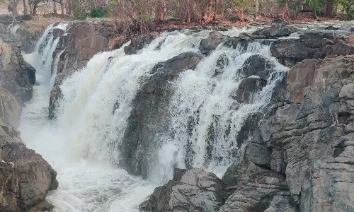 ஒகேனக்கல்லுக்கு நீர்வரத்து 2 ஆயிரத்து 500 கனஅடியாக அதிகரிப்பு