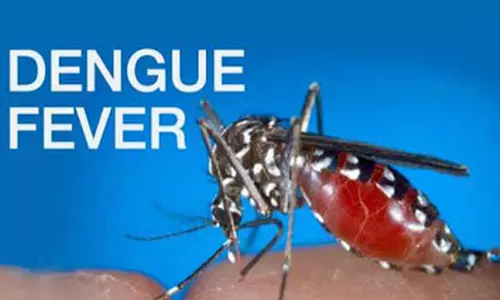 பிரேசிலில் டெங்கு காய்ச்சலுக்கு 391 பேர் உயிரிழப்பு