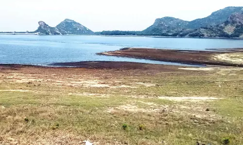 உடுமலை திருமூர்த்தி அணையின் நீர்மட்டம் சரிவு- விவசாயிகள் கவலை