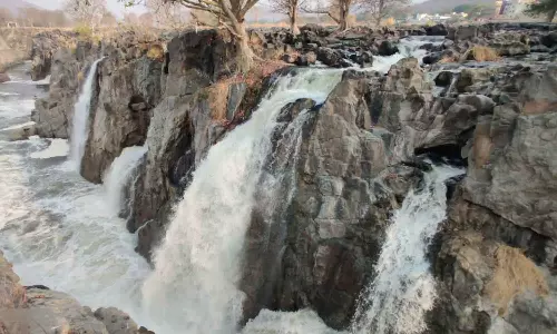 ஒகேனக்கல்லில் நீர்வரத்து 800 கனஅடியாக சரிவு
