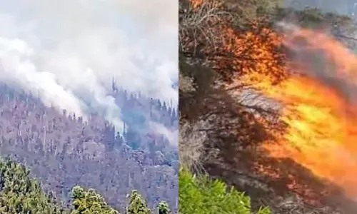 குன்னூரில் 5-வது நாளாக பற்றி எரியும் காட்டுத்தீ: தீயணைப்பு வீரர்கள் கூடுதலாக வரவழைப்பு