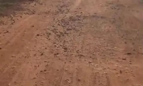 கிராம மக்கள் பலமுறை போராட்டம் நடத்தியும் சீரமைக்கப்படாத சாலை