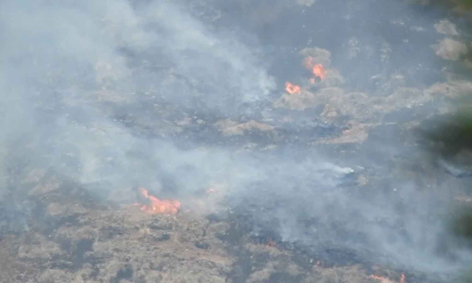 கொடைக்கானலில் காட்டுத்தீயை அணைக்க முடியாமல் வனத்துறையினர் திணறல்