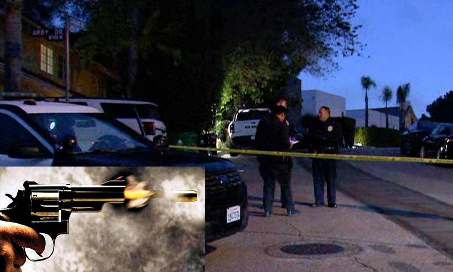 அமெரிக்காவில் 3 பேரை சுட்டுக்கொன்ற வாலிபர்