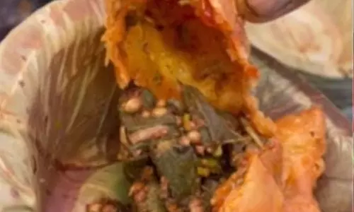 இணையத்தை உலுக்கும் புதிய சமோசா மோகம்