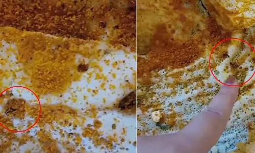 ஓட்டல் தோசையில் கிடந்த 8 கரப்பான் பூச்சிகள்