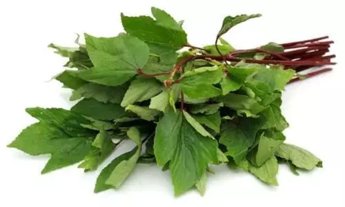 ஆரோக்கிய நன்மைகளை அள்ளித்தரும் புளிச்சக்கீரை