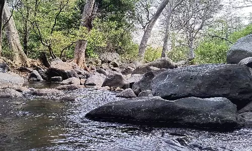 வறண்டு வரும் மூல வைகை ஆறு: குடிநீர் தட்டுப்பாடு அபாயம்