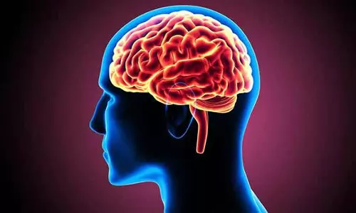 வாத நோய்க்கு சித்த மருத்துவ சிகிச்சை