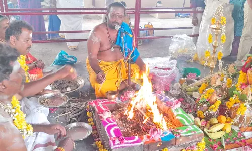நெல்லை, தென்காசி, தூத்துக்குடி சாஸ்தா கோவில்களில் திரண்ட பக்தர்கள்