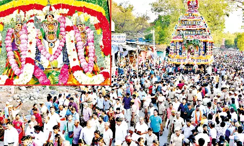 பழனி முருகன் கோவிலில் பங்குனி உத்திர தேரோட்டம்