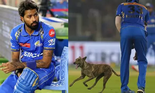 போட்டியின் போது குறுக்கிட்ட நாய்: ஹர்திக்... ஹர்திக் என முழக்கமிட்ட ரசிகர்கள்- வைரலாகும் வீடியோ