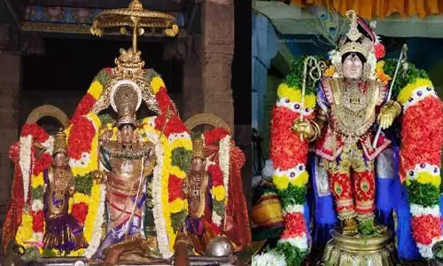 ஸ்ரீமன்னார்குடி ராஜகோபால சுவாமி கிருஷ்ண தீர்த்த தெப்பல் உற்சவம்