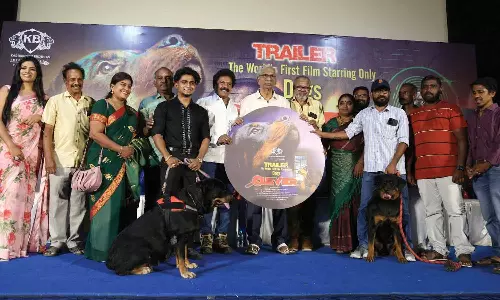 உலக சினிமாவில் முதல் முறை - இரு நாய்கள் மட்டுமே நடித்த படம்