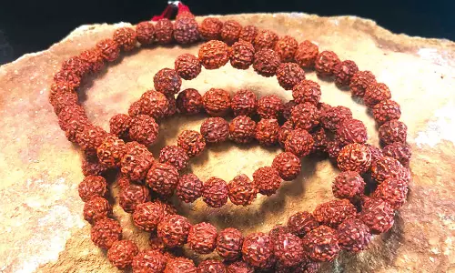 ருத்ராட்சத்தின் மகிமைகள்...!