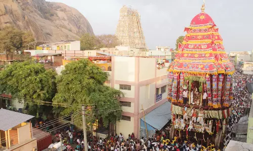 திருப்பரங்குன்றம் முருகன் கோவிலில் பங்குனி பெருவிழா தேரோட்டம்