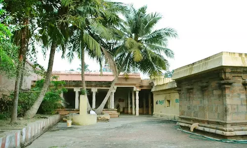 மாலையிலிருக்கும் மஞ்சள் மகிமை