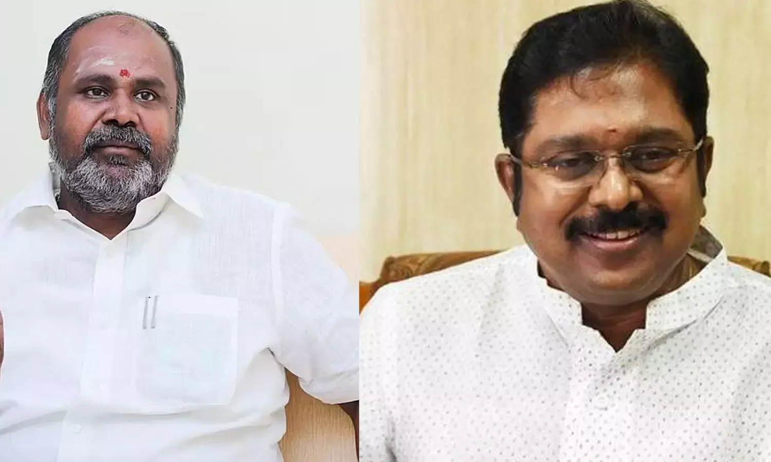 நாய் என்றைக்கும் சிங்கமாகாது, ஓநாயாக வேண்டுமானால் ஆகலாம் - டிடிவி தினகரன்