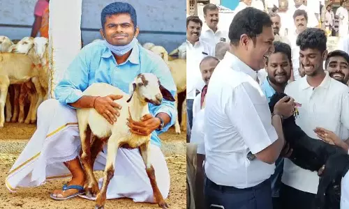 ஆட்டைக் கொடுமை படுத்தாமல் பிரியாணி செய்யுங்கள் - அண்ணாமலை வேண்டுகோள்
