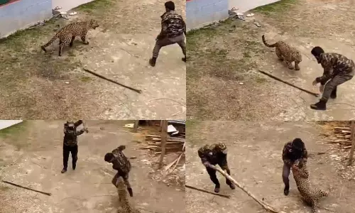 காஷ்மீரில் கிராமத்திற்குள் புகுந்த சிறுத்தை: தனியாக நின்று சண்டையிட்ட வனத்துறை அதிகாரி- வைரலாகும் வீடியோ