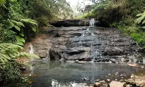 கொடைக்கானலில் வெயிலின் தாக்கம் அதிகரிப்பால் வறண்டு வரும் நீர்வீழ்ச்சிகள்