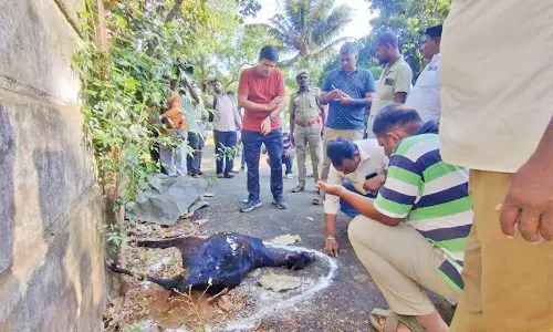 3-வது நாளாக தேடுதல் வேட்டை : 14 அதிநவீன சென்சார் கேமராக்கள் மூலம் சிறுத்தையின் நடமாட்டம் கண்காணிப்பு