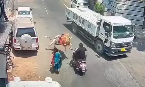 ஓங்கி முட்டிய பூம்பூம் மாடு- நூலிழையில் உயிர் தப்பிய நபர்: வைரலாகும் வீடியோ